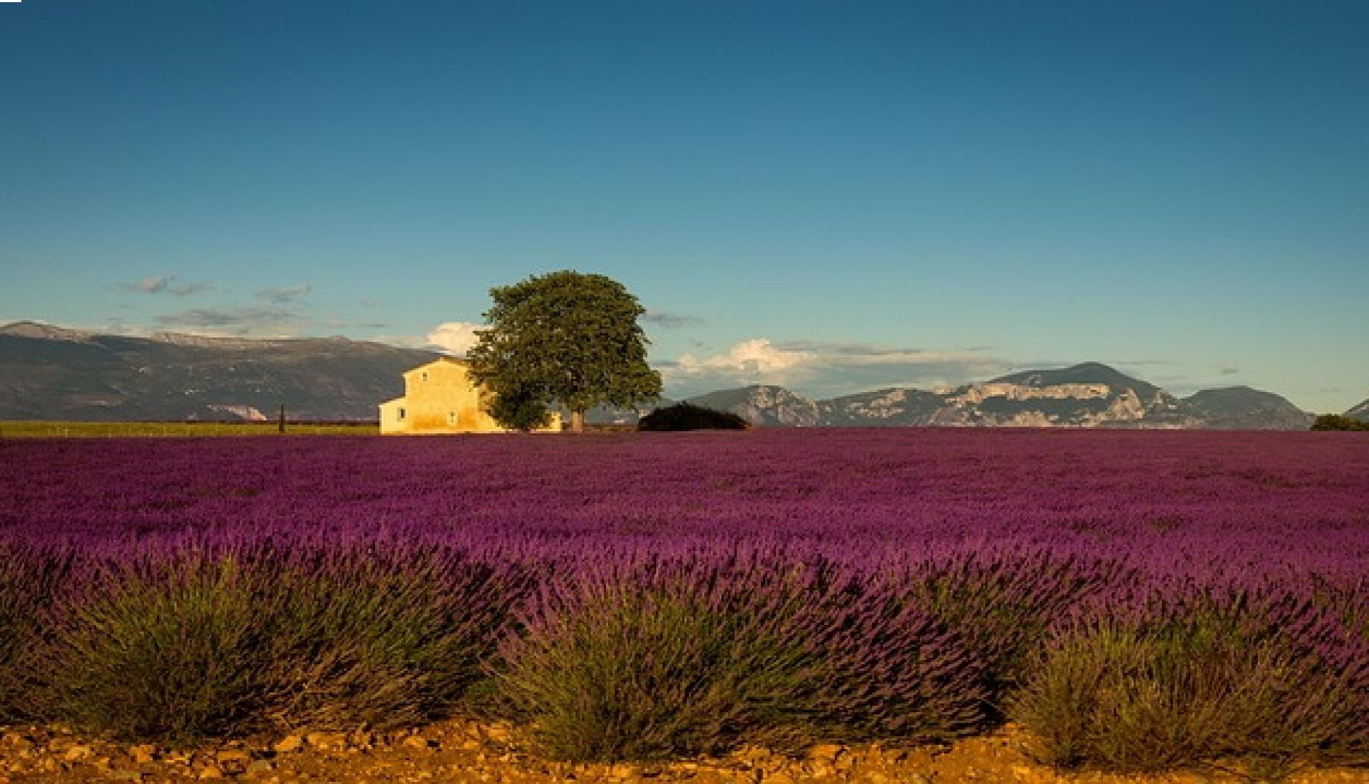 Une journée en Provence, entre histoire et art contemporain