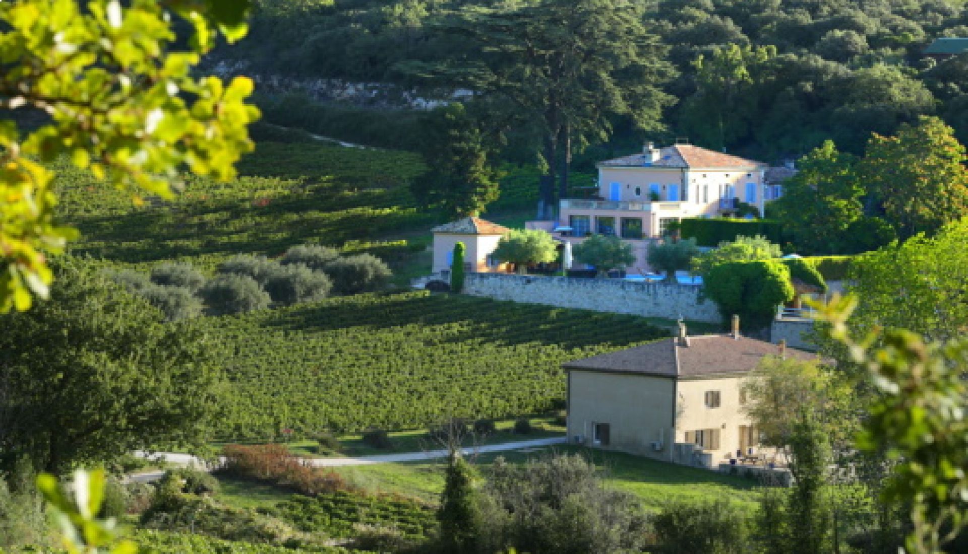 Le domaine viticole Les Amoureuses à Bourg-Saint-Andéol