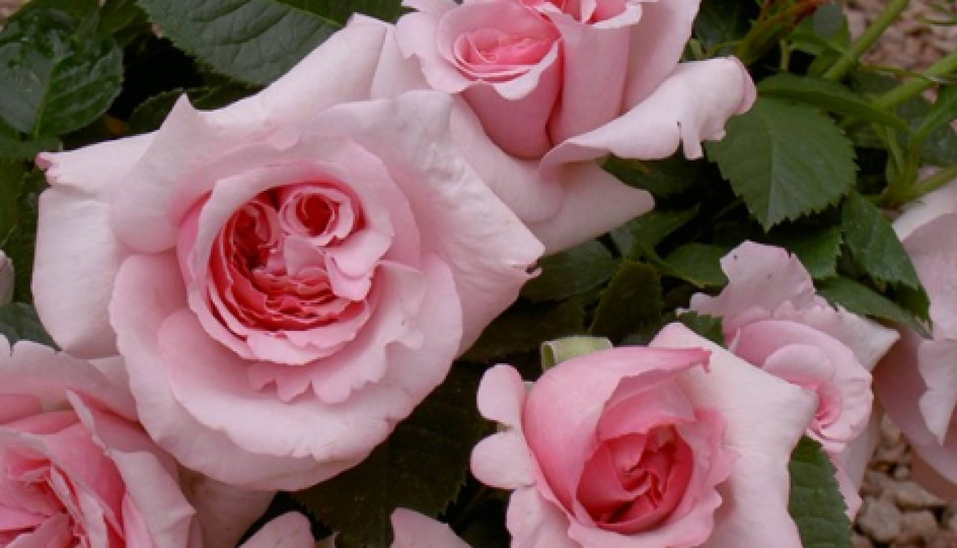 Une journée à Banon et Simiane-La-Rotonde