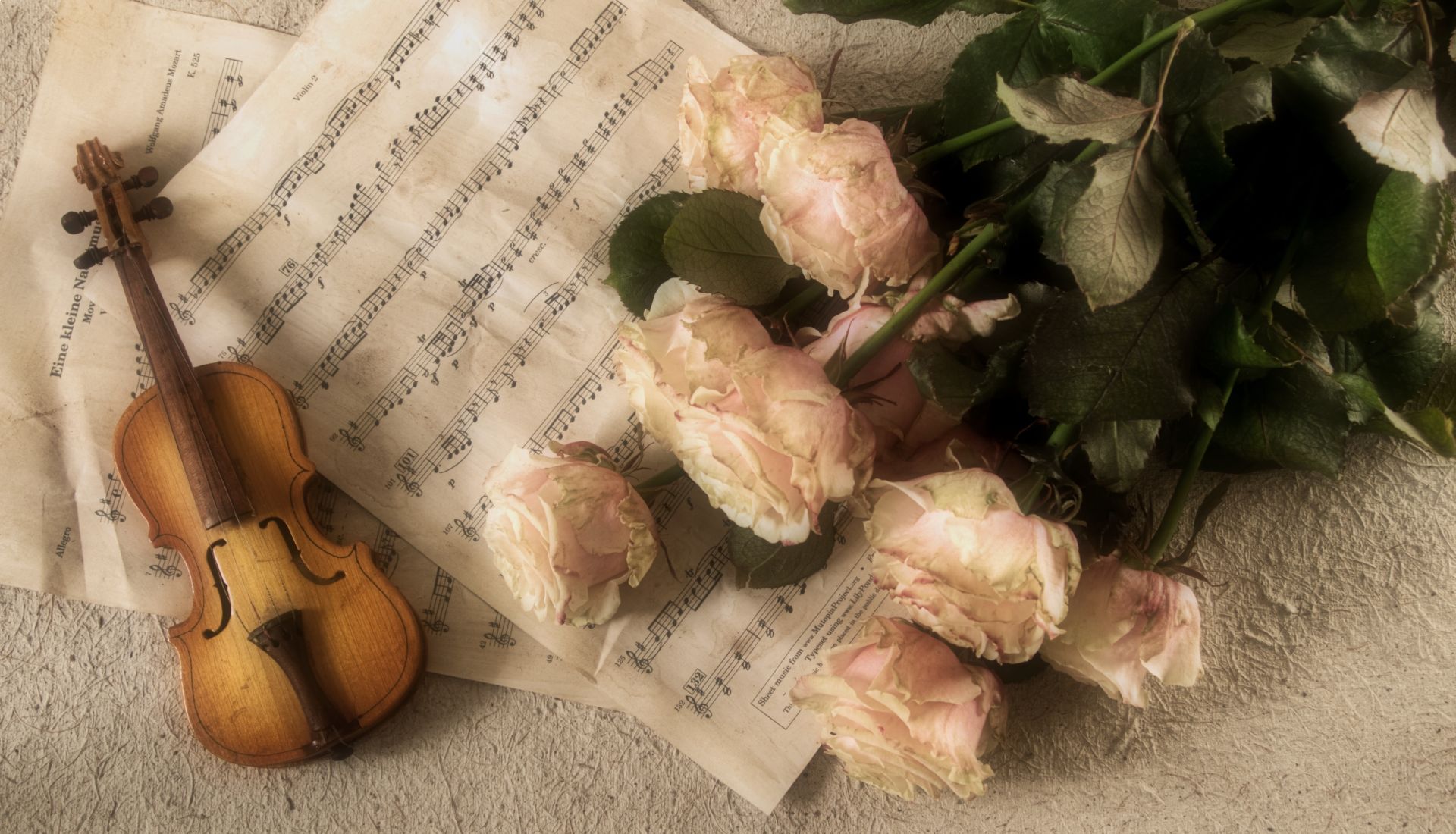 Conférence : violonissimo ! Le violon italien dans tous ses éclats