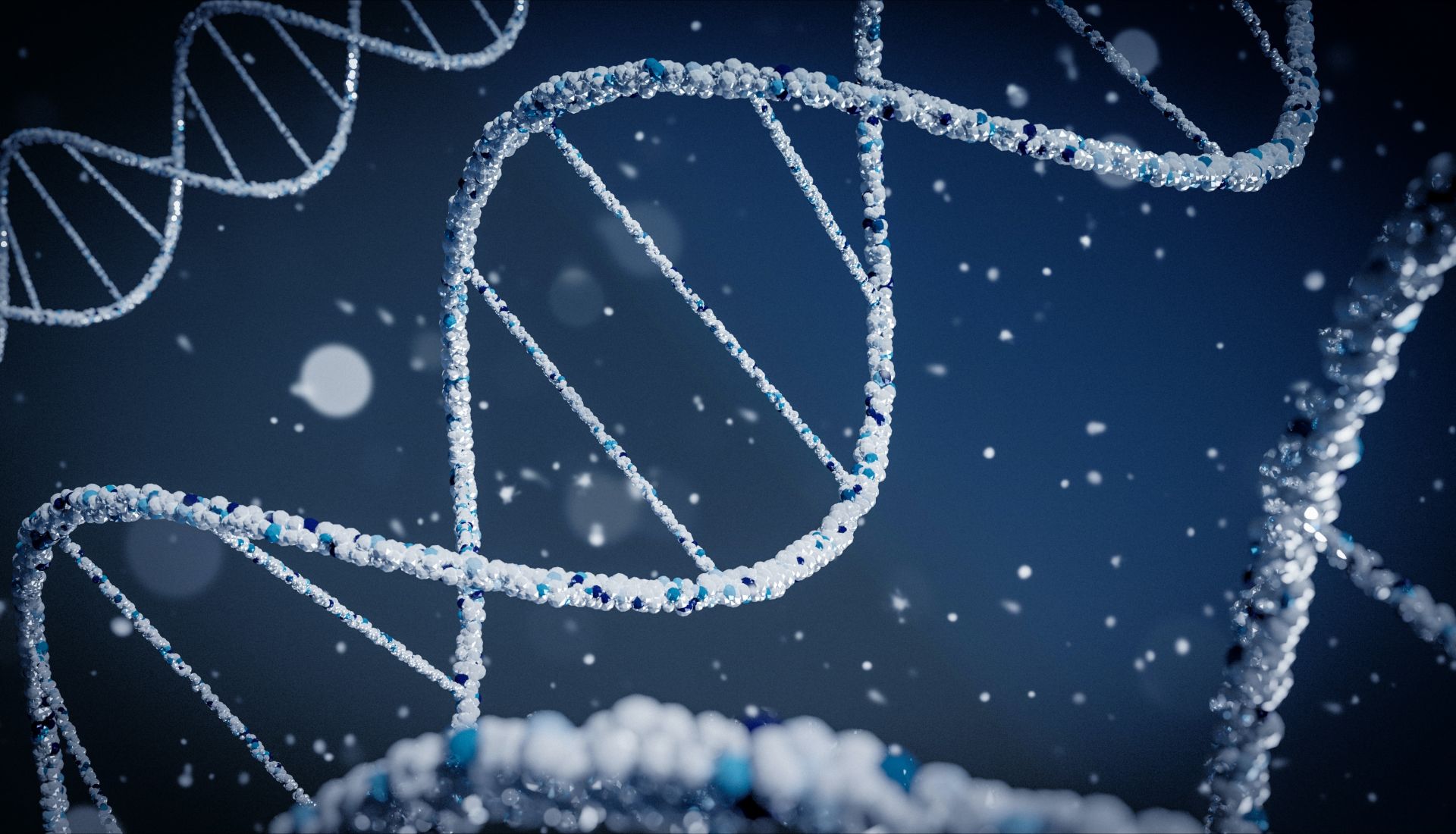 Tests ADN et généalogie génétique