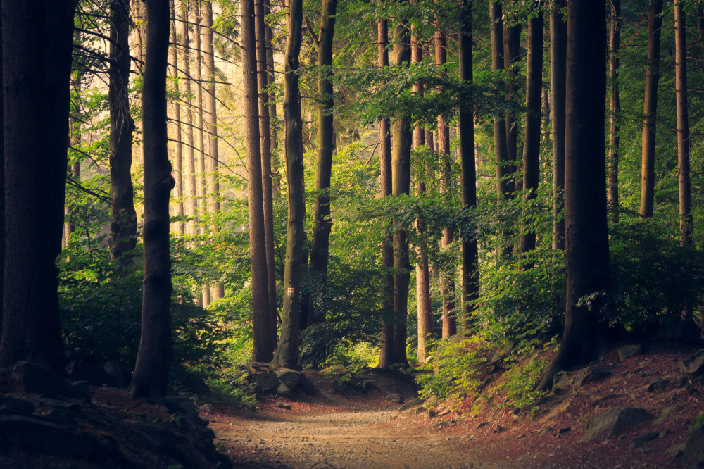 Nature et environnement